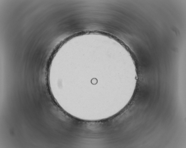 X0000114110832200910191700