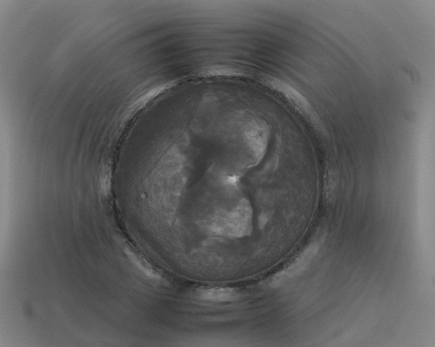 X0000114110833200910191700