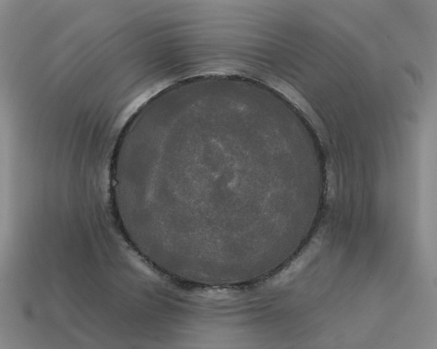 X0000114110834200910191700