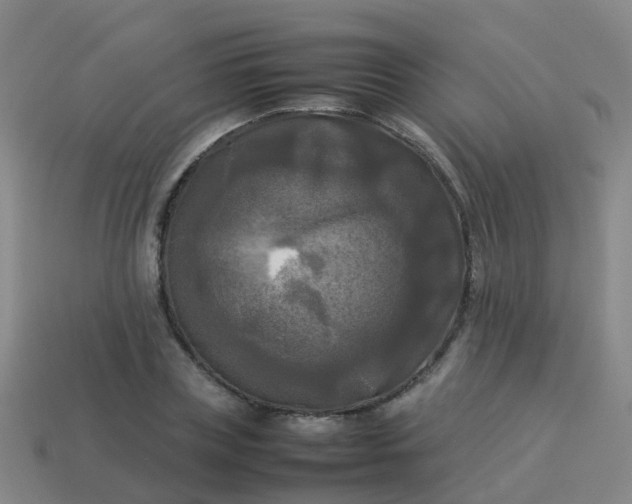 X0000114110835200910191700