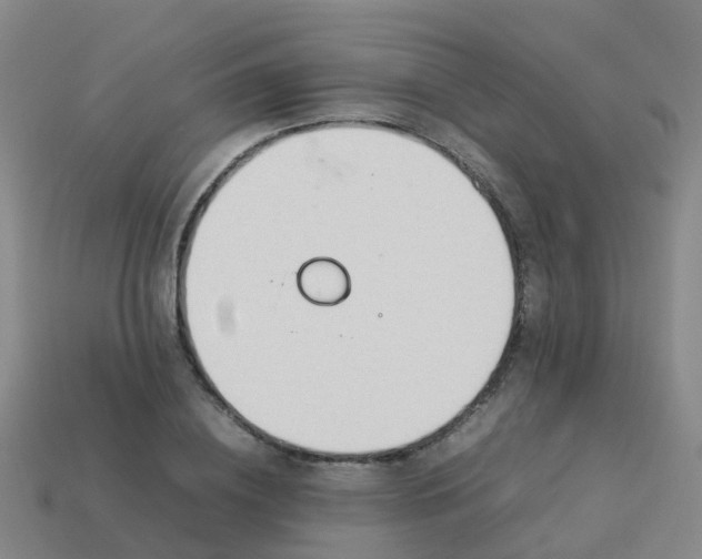 X0000114110836200910191700