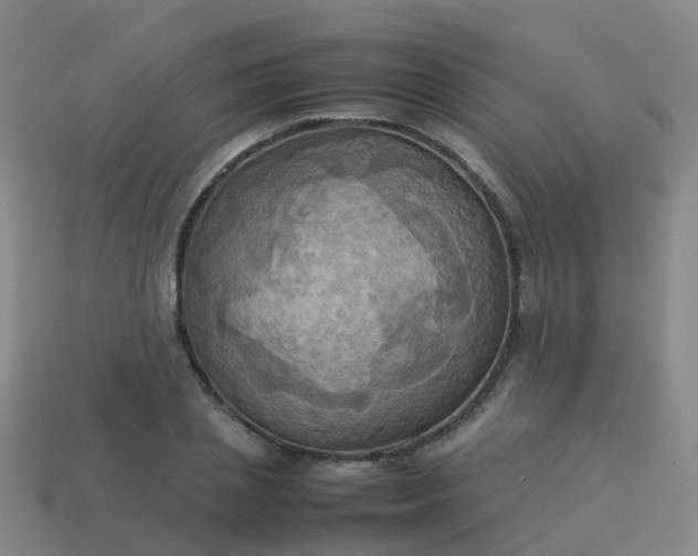 X0000114110837200910191700