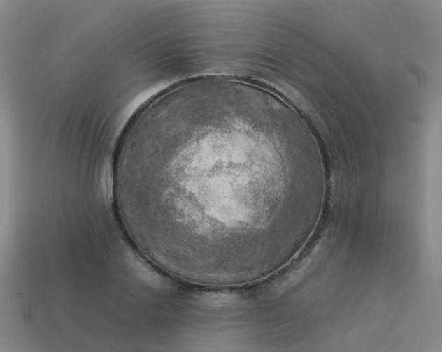 X0000114110838200910191701