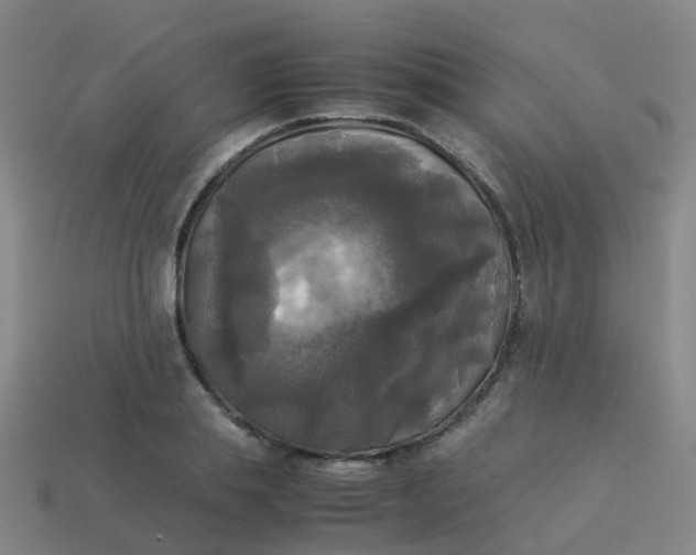 X0000114110839200910191701