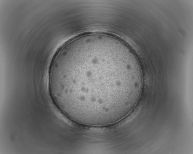 X0000114110840200910191701