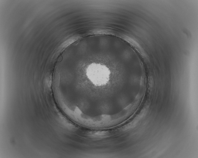 X0000114110841200910191701