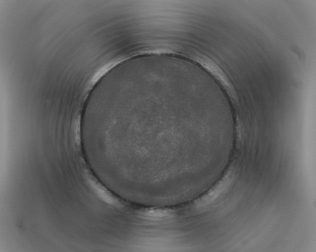 X0000114110842200910191701