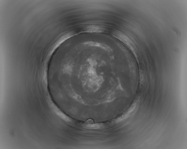 X0000114110843200910191701