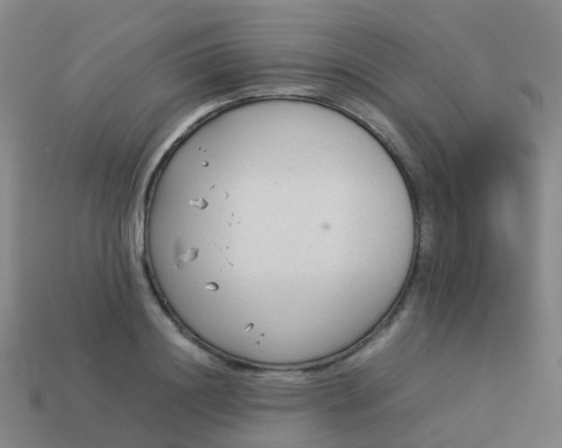 X0000114110844200910191701