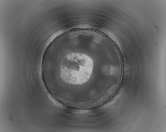 X0000114110845200910191701