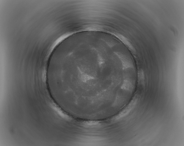 X0000114110846200910191701