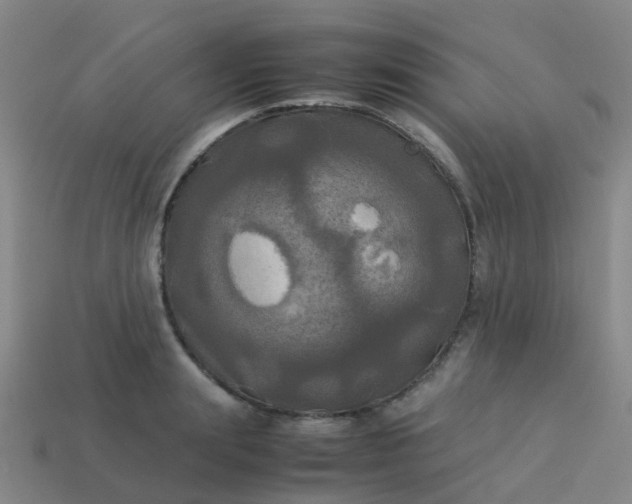 X0000114110847200910191701