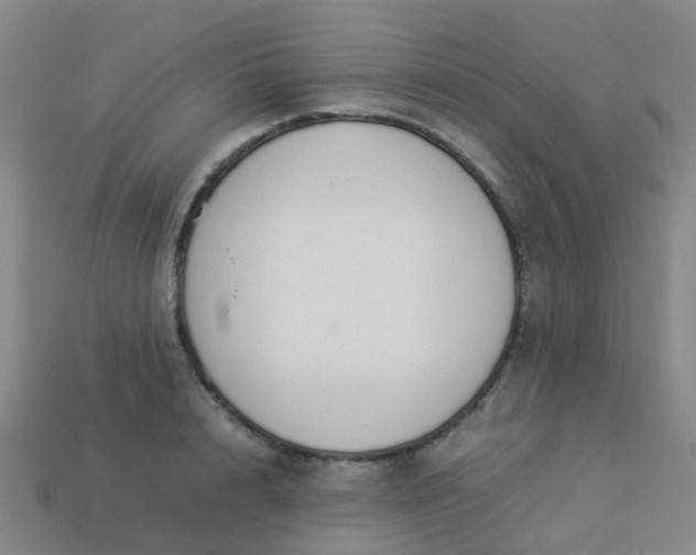 X0000114110848200910191701