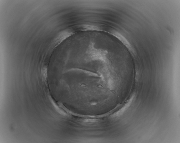 X0000114110849200910191701