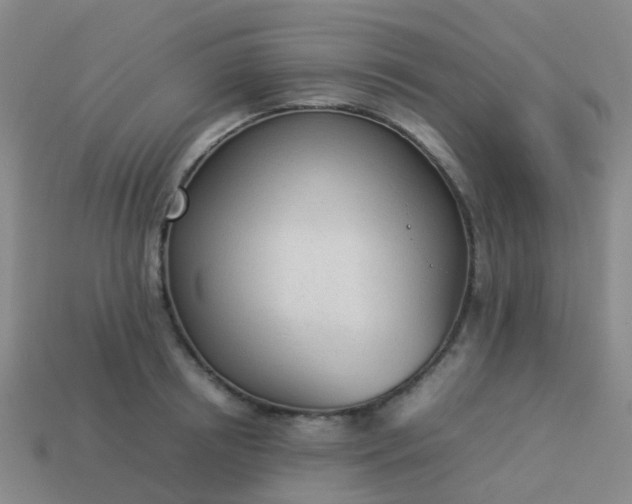 X0000114110850200910191701