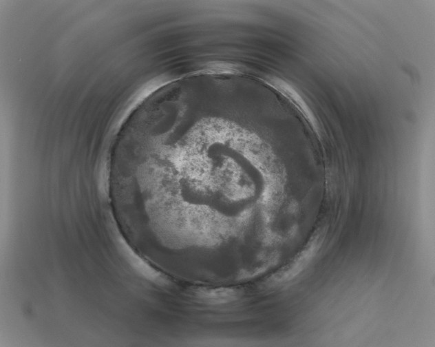 X0000114110851200910191701