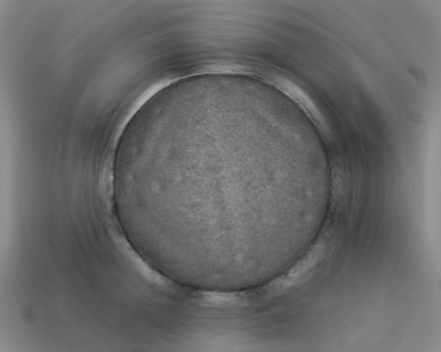 X0000114110852200910191701