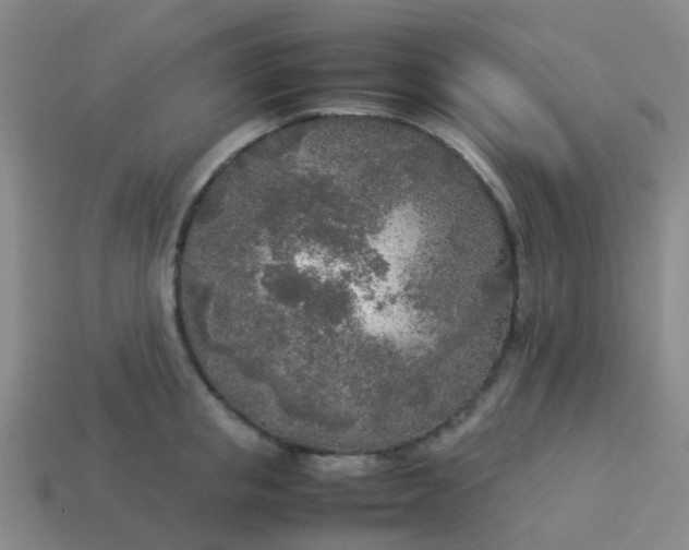 X0000114110853200910191701