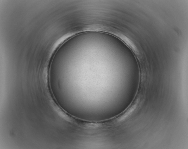 X0000114110854200910191701