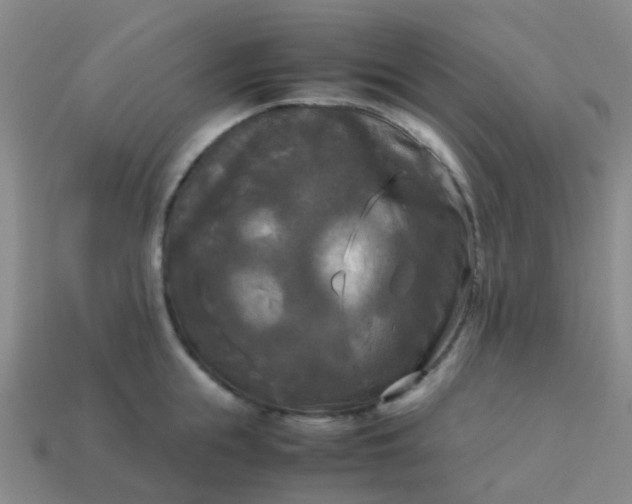 X0000114110855200910191701