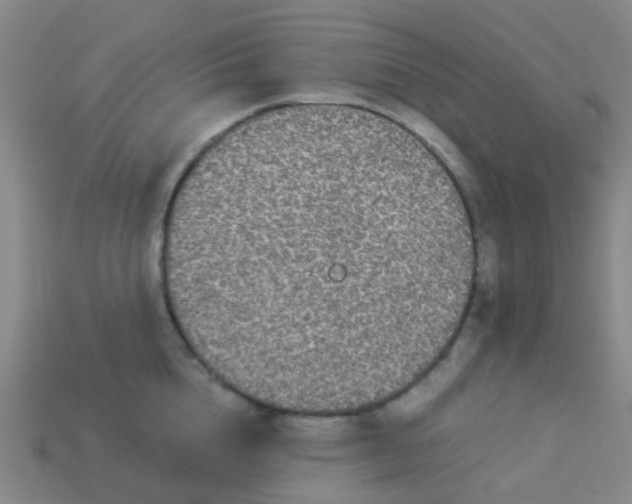 X0000114110856200910191701