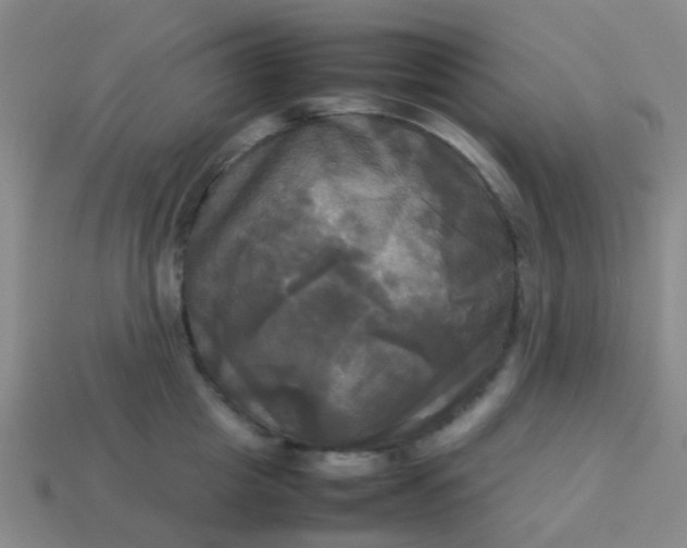 X0000114110857200910191701