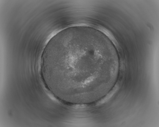 X0000114110858200910191701