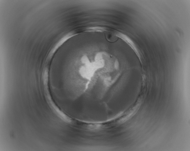 X0000114110859200910191701