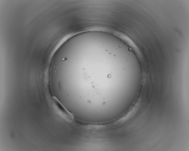 X0000114110860200910191701