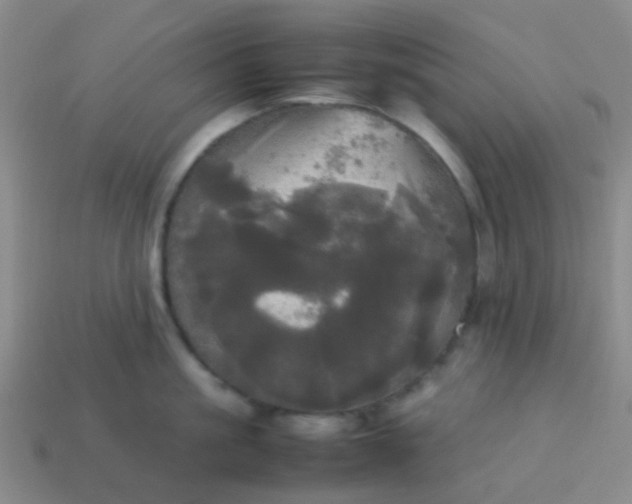 X0000114110861200910191701