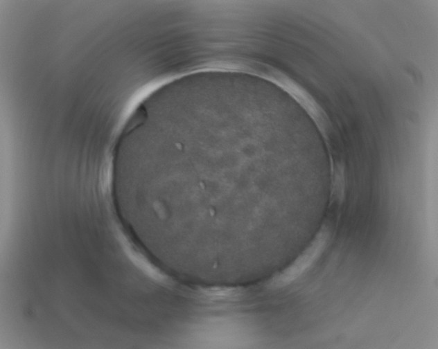 X0000114110862200910191701