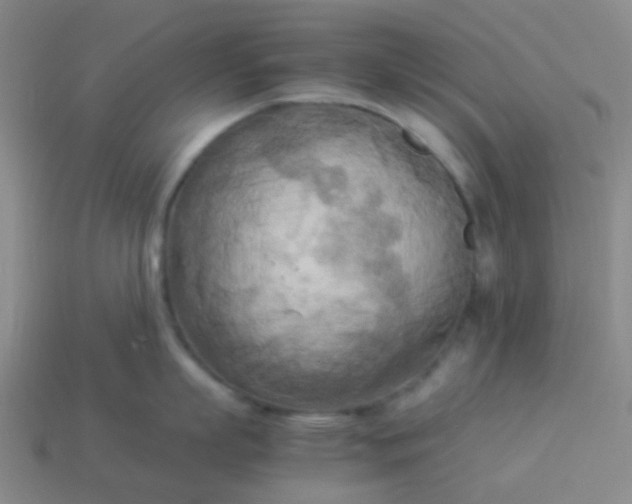 X0000114110863200910191701