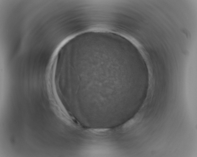 X0000114110864200910191701