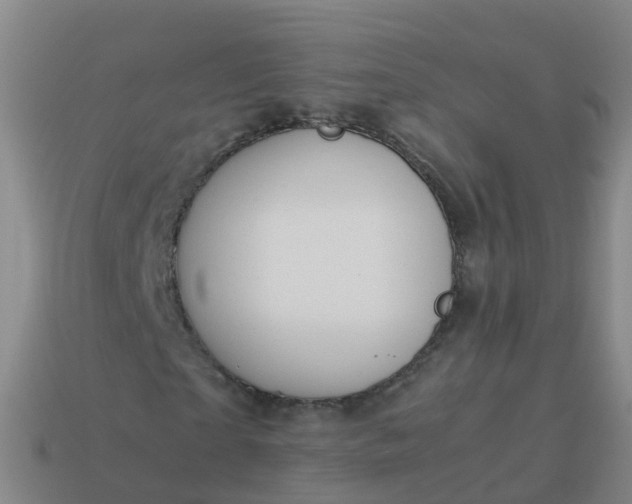 X0000114110865200910191700