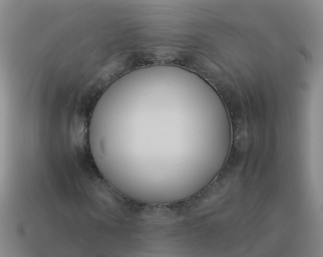 X0000114110866200910191700