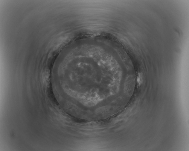 X0000114110867200910191700