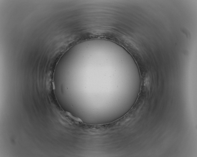 X0000114110868200910191700