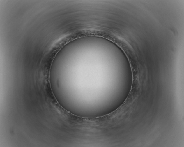 X0000114110870200910191700