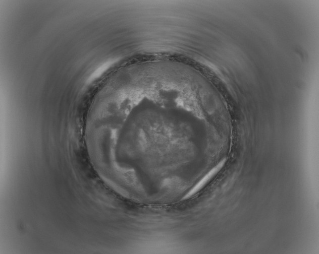 X0000114110871200910191700