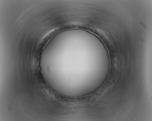 X0000114110872200910191700