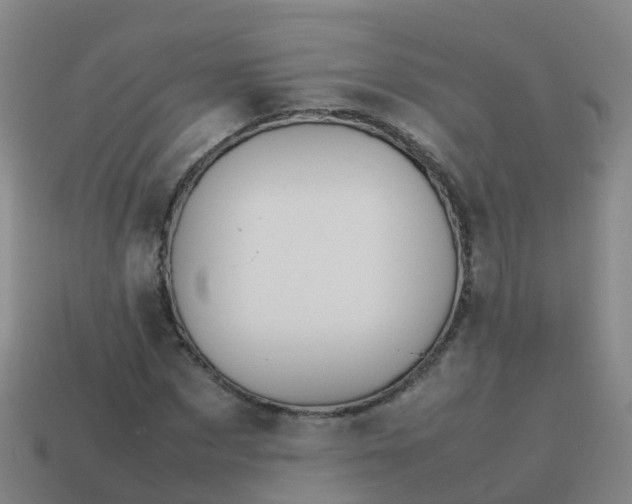 X0000114110873200910191700