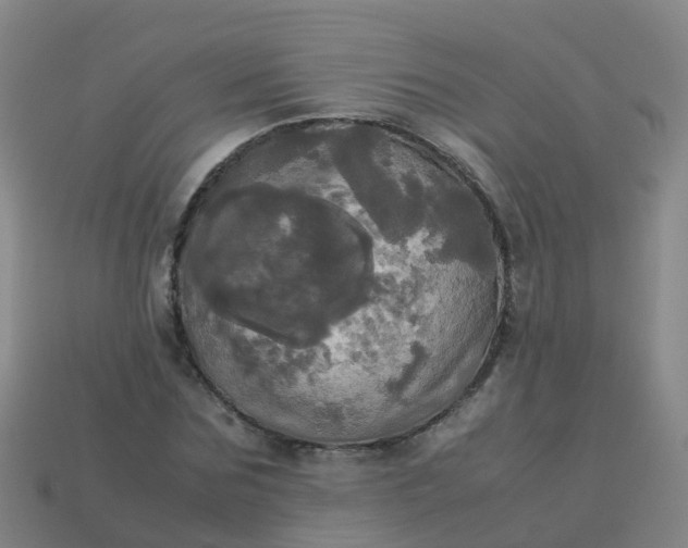 X0000114110875200910191700