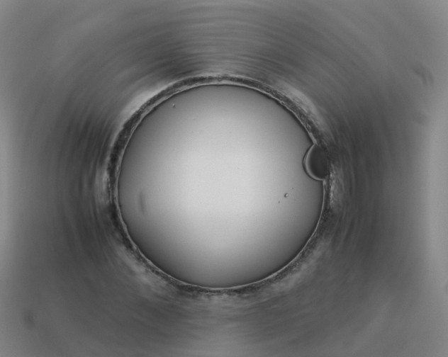 X0000114110876200910191700