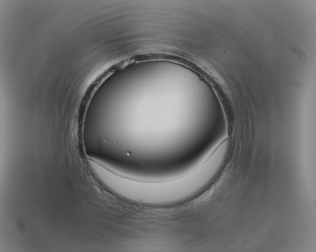 X0000114110877200910191700