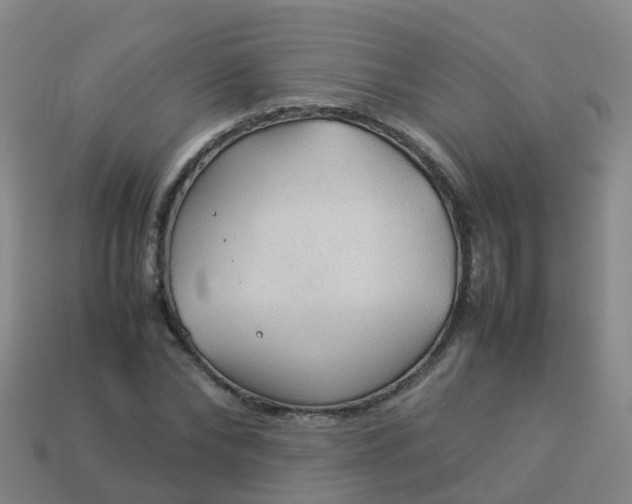 X0000114110878200910191700