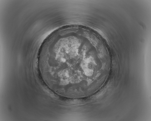 X0000114110879200910191700