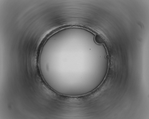 X0000114110880200910191700