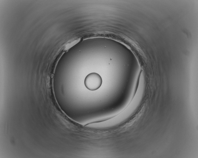 X0000114110881200910191700