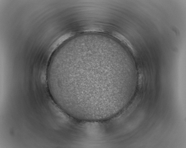 X0000114110882200910191700