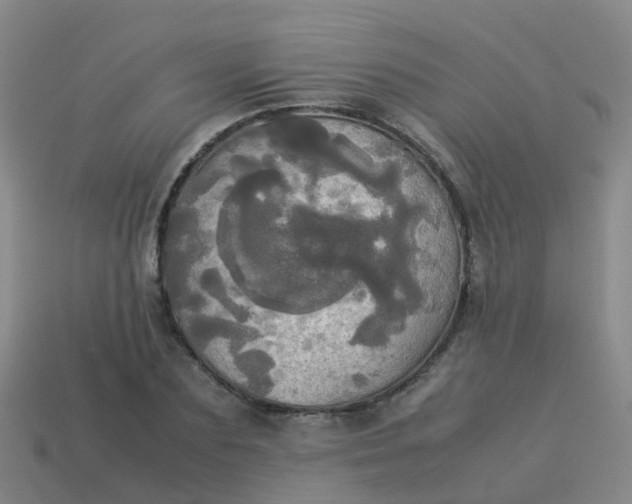 X0000114110883200910191700